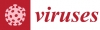 Recent Advances on Detection and Characterization of Fruit Tree Viruses Using High-Throughput Sequencing Technologies